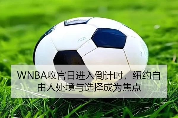 WNBA收官日进入倒计时，纽约自由人处境与选择成为焦点